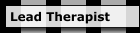 Lead Therapist