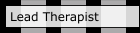 Lead Therapist